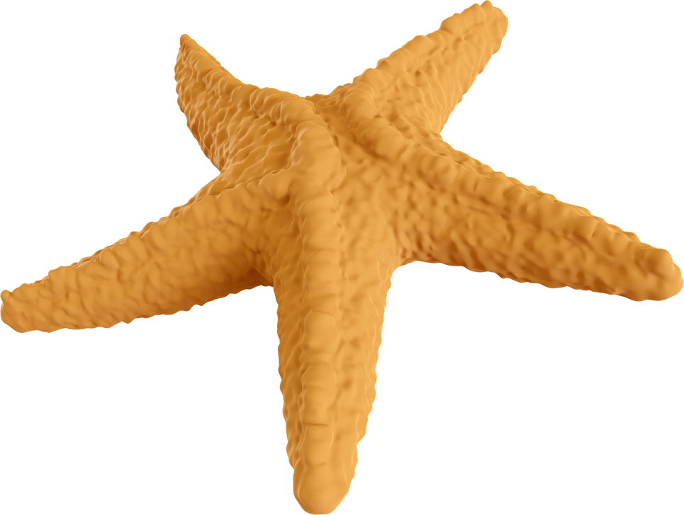 Brown Starfish Cutout